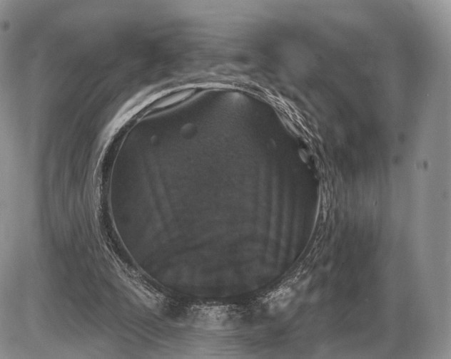 X0000085000295200703191057