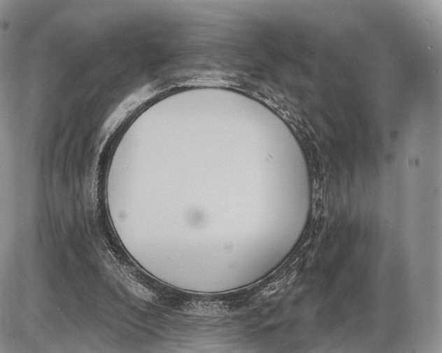 X0000085000296200703191057