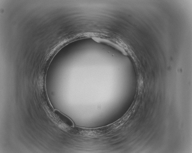 X0000085000297200703191057