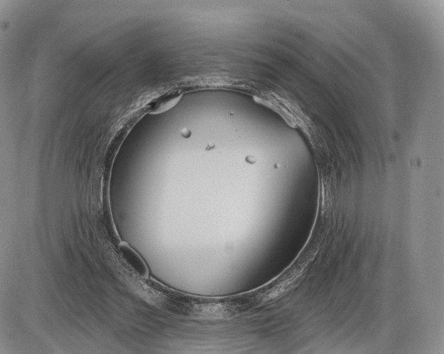 X0000085000301200703191057