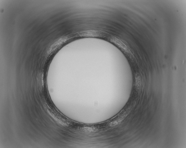 X0000085000302200703191057