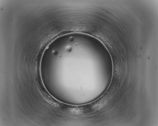 X0000085000303200703191057