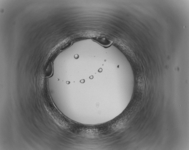 X0000085000304200703191057