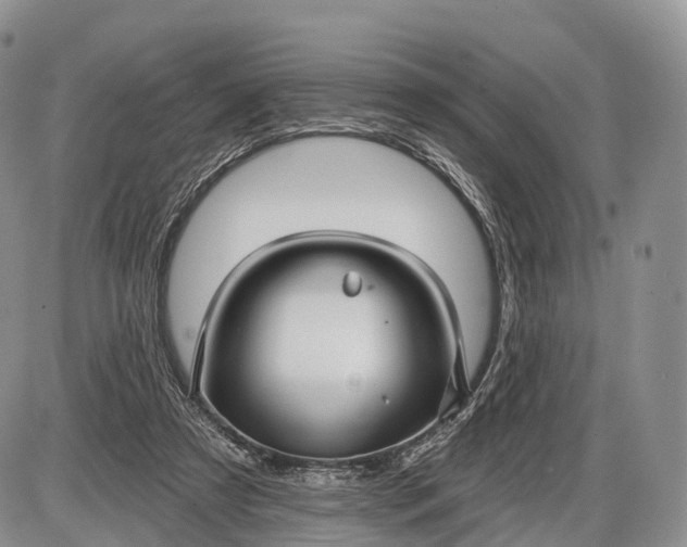 X0000085000305200703191057