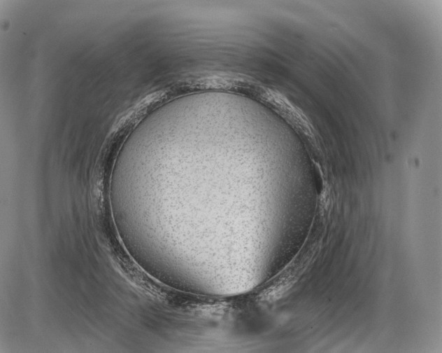 X0000085000306200703191057