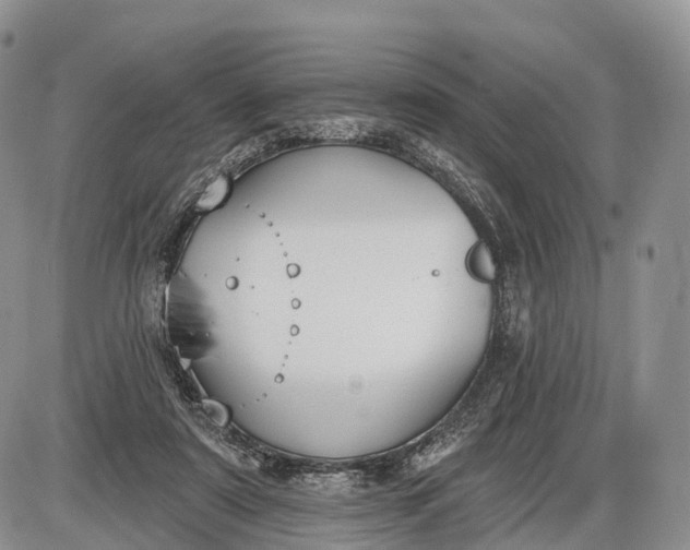 X0000085000307200703191057