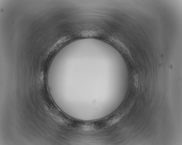 X0000085000308200703191057