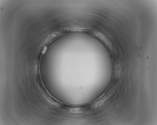 X0000085000309200703191057