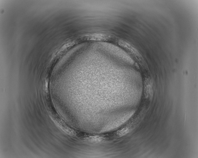 X0000085000310200703191056