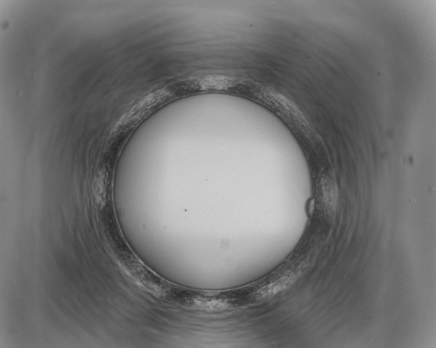 X0000085000311200703191056