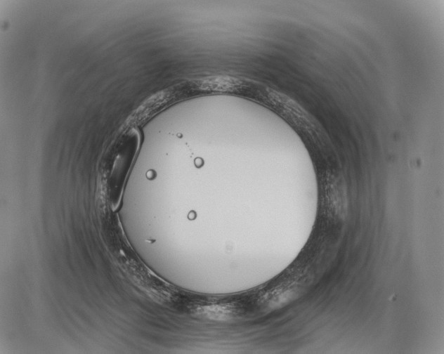 X0000085000312200703191056