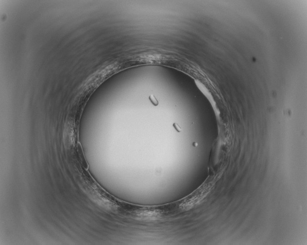 X0000085000313200703191056