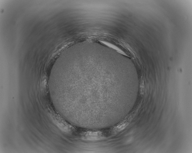 X0000085000314200703191056