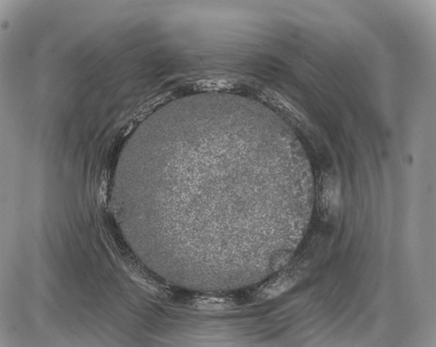 X0000085000315200703191056