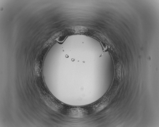 X0000085000316200703191056