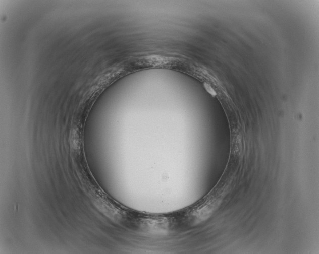 X0000085000317200703191056