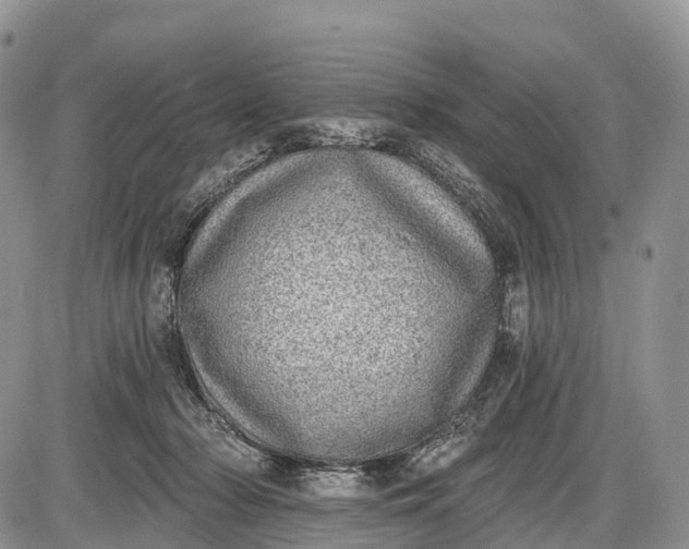 X0000085000318200703191056