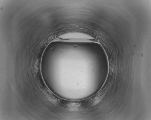 X0000085000319200703191056