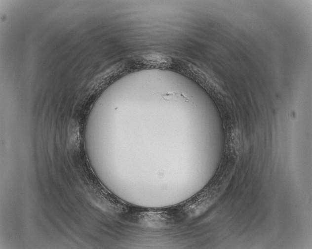 X0000085000320200703191056