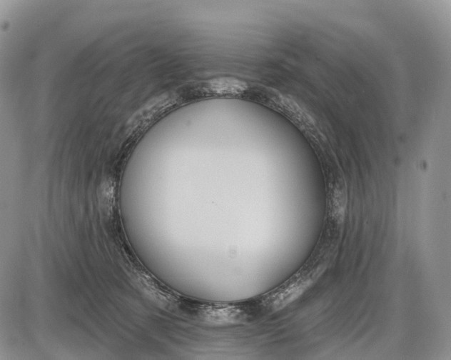 X0000085000321200703191056