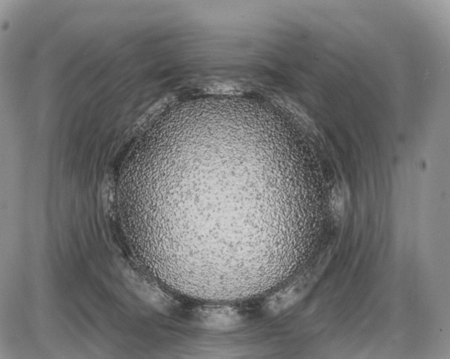 X0000085000322200703191056