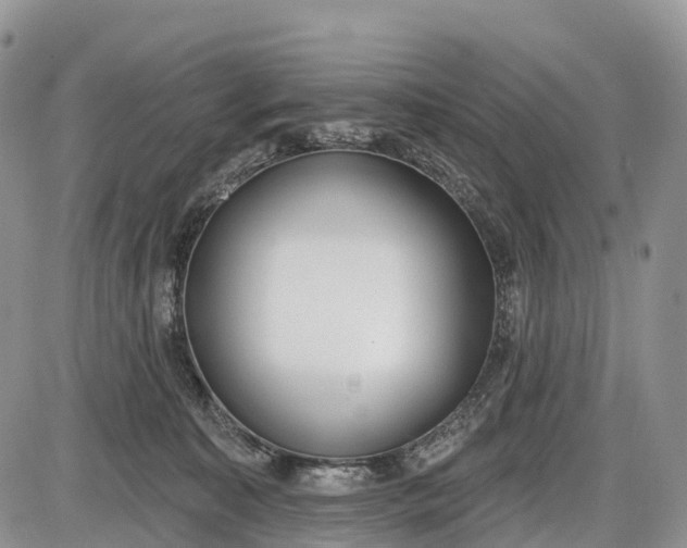 X0000085000323200703191056