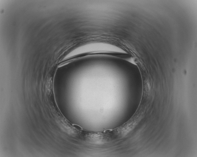 X0000085000325200703191056