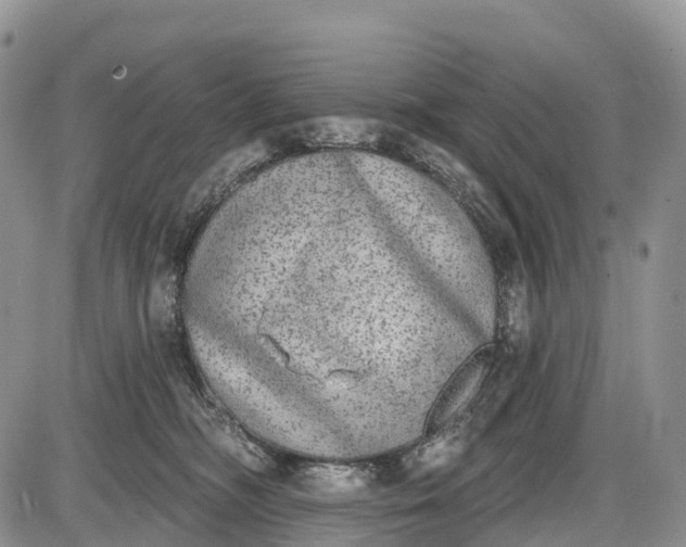 X0000085000326200703191056