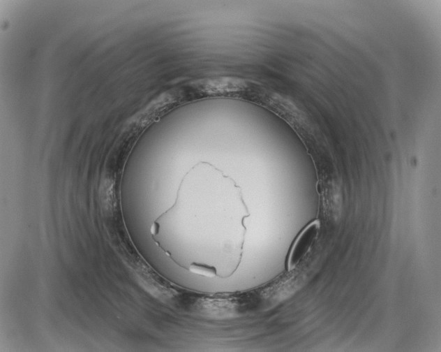 X0000085000327200703191056