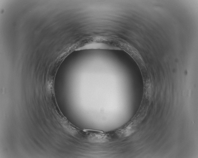 X0000085000329200703191056