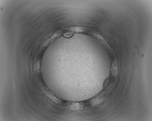 X0000085000330200703191056