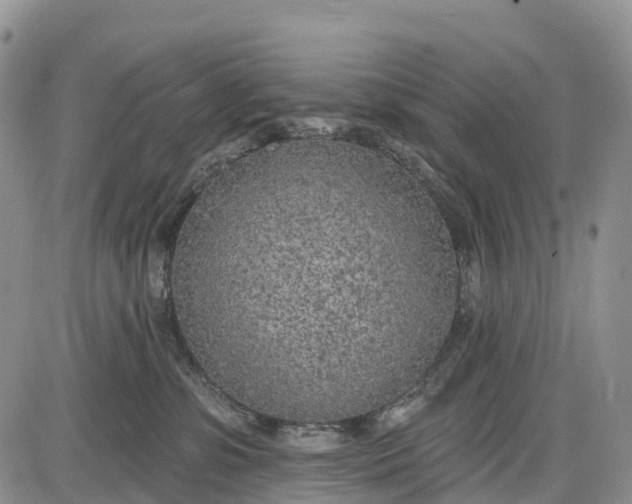 X0000085000331200703191056