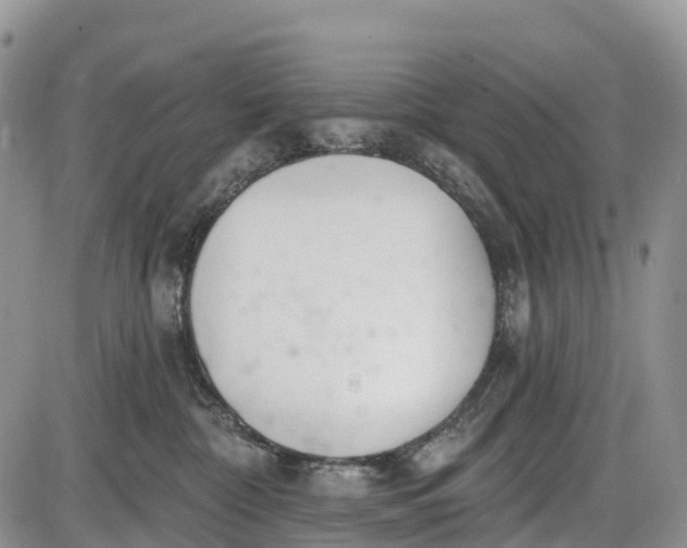 X0000085000332200703191056