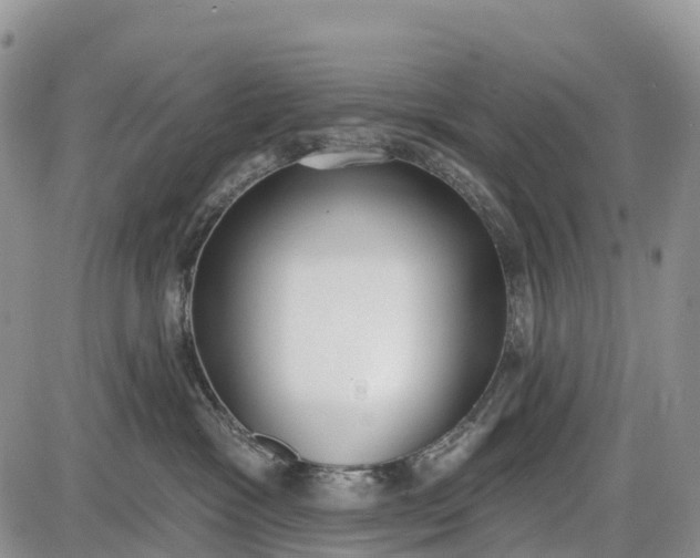 X0000085000333200703191056