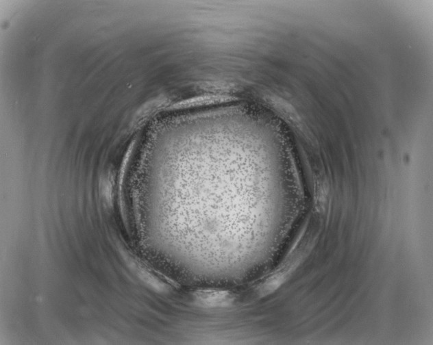 X0000085000334200703191056