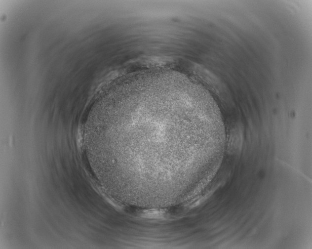 X0000085000335200703191056