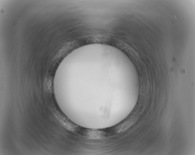 X0000085000336200703191056