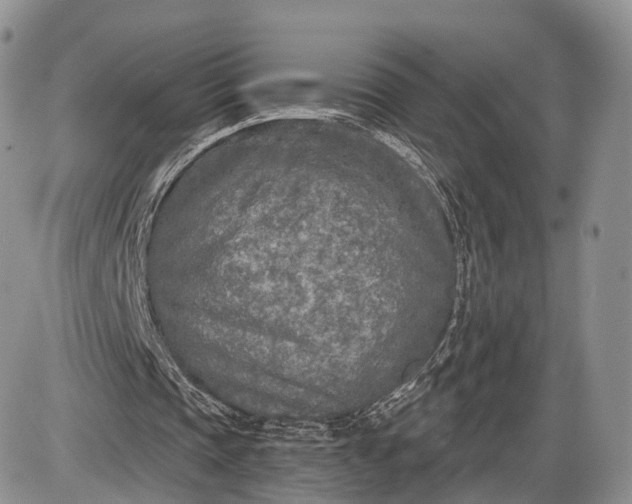 X0000085000337200703191055