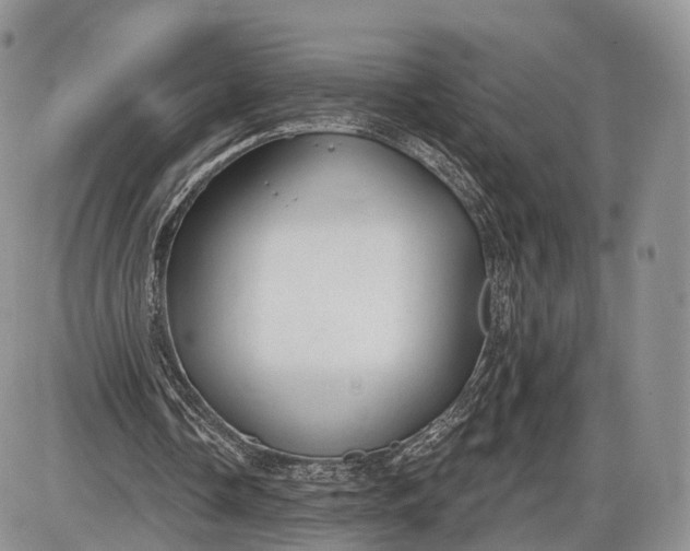 X0000085000338200703191055