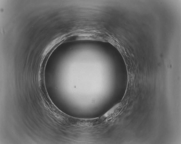 X0000085000340200703191055