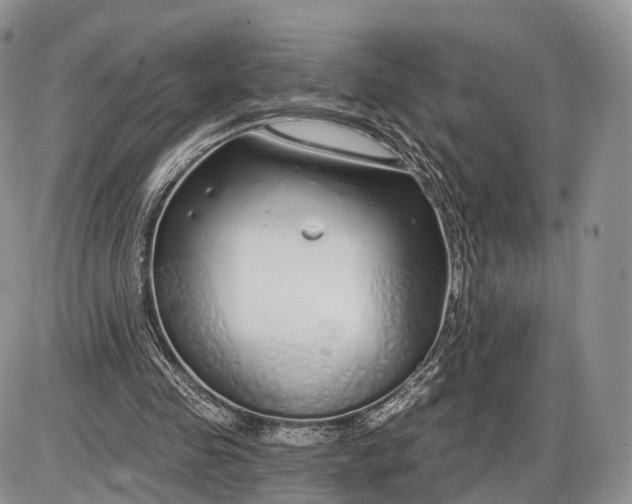 X0000085000341200703191055