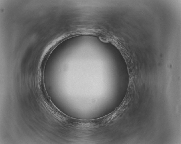 X0000085000342200703191055