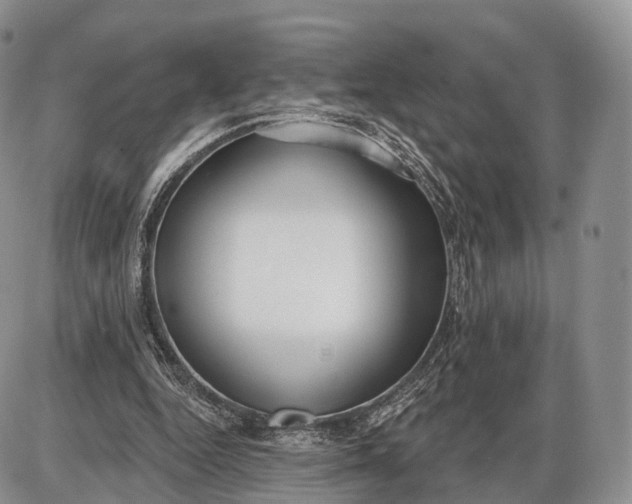 X0000085000344200703191055