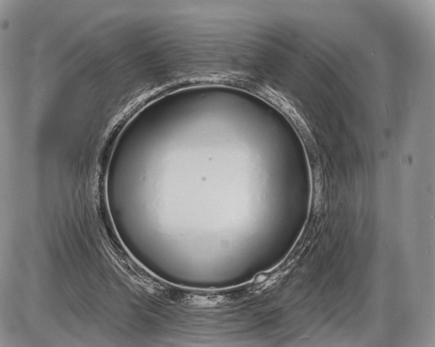 X0000085000346200703191055