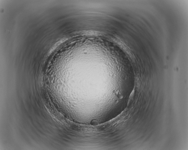 X0000085000347200703191055