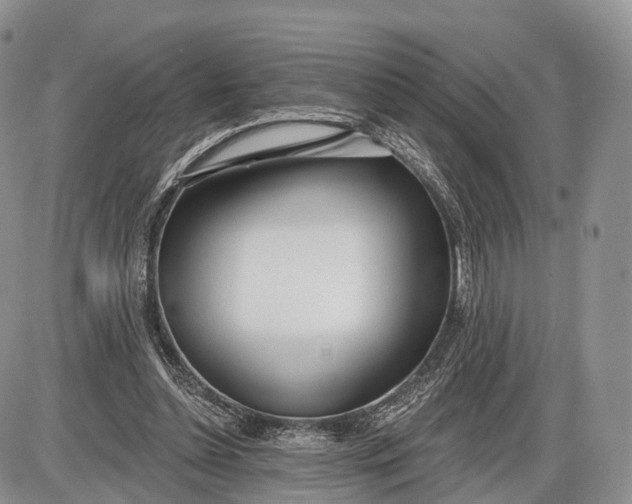 X0000085000348200703191055