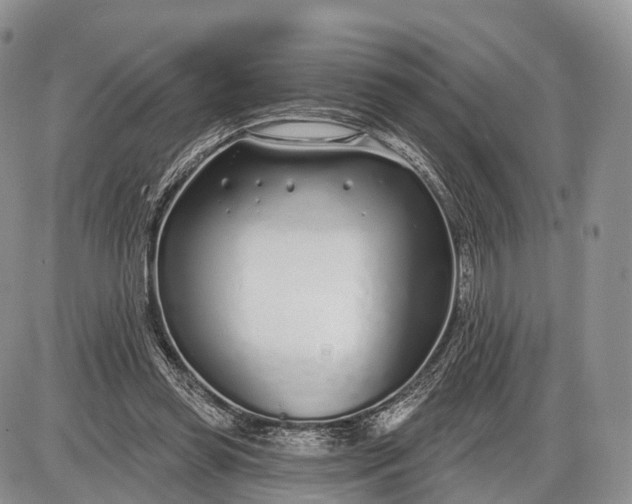 X0000085000349200703191055