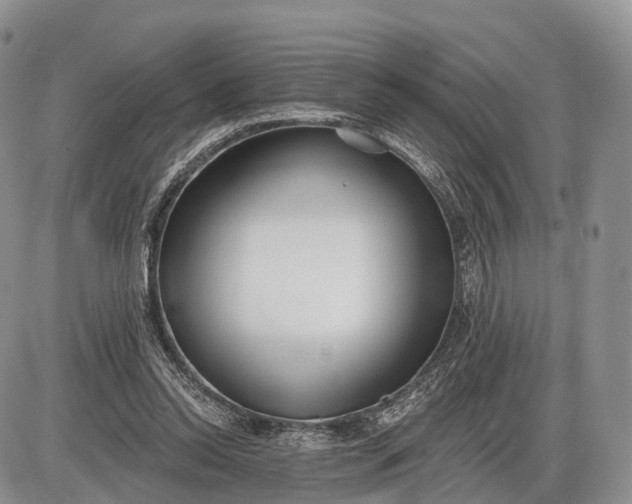 X0000085000350200703191055