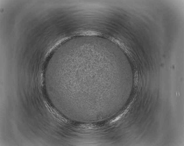 X0000085000351200703191055