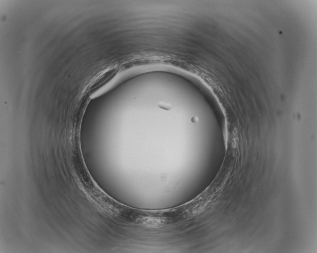 X0000085000352200703191055